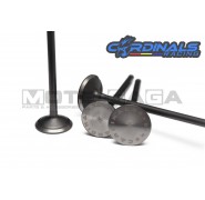 Cardinals Racing Oversized Valves - 4V Yamaha - Stage 2 - (22in/19ex)