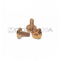 (Gold/Rainbow) Dress Up Button Screw - M6x16mm