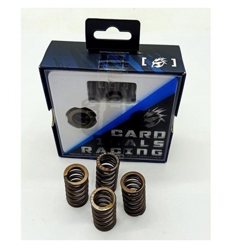 Cardinals Racing Oval Valve Springs (OS1) - Yamaha R15V3/MT-15/NVX/NMAX ...