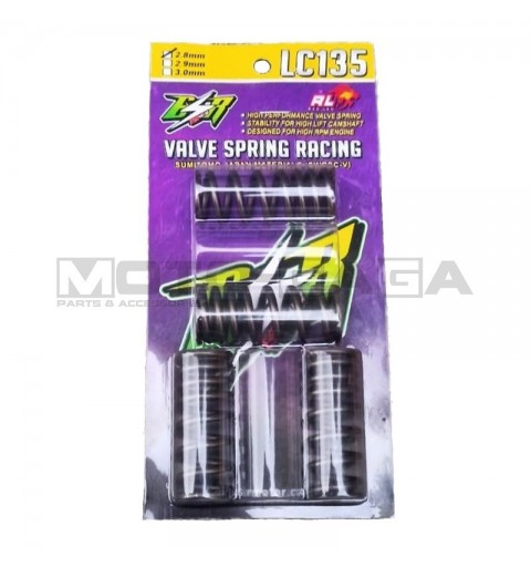 ESR Racing Valve Springs - Yamaha T135/R15/FZ150i
