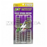 ESR racing Valve springs -  Yamaha T150/R15 V2/FZ150i