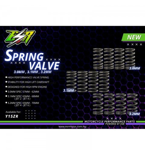 ESR racing Valve springs - Yamaha T150/R15 V2/FZ150i