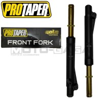 Protaper Racing Lowered Forks (Gold)(OE) - Honda Wave 100/Ex5 Dream