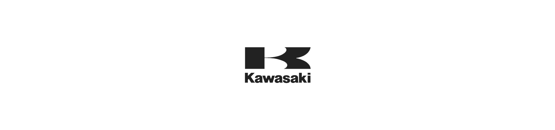 Kawasaki motorcycles & scooter Parts